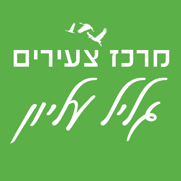 מ.א הגליל העליון