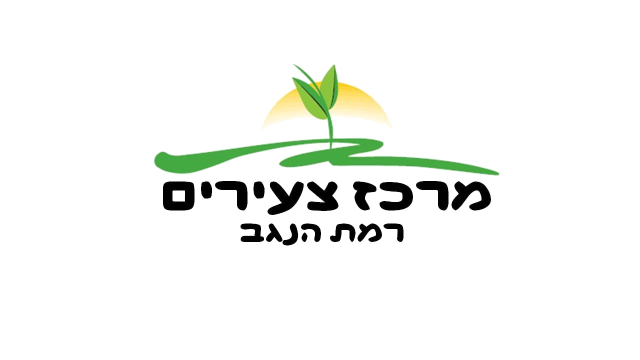 רמת הנגב